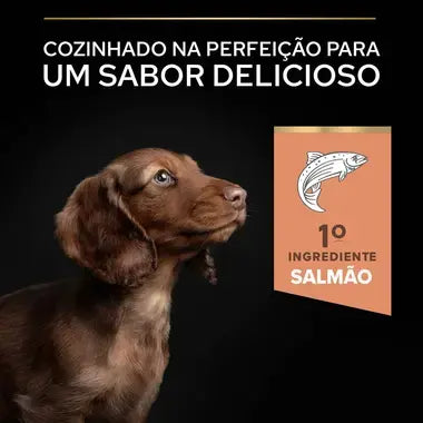 Pro Plan Sensitive Skin Small & Mini Puppy - Ração seca para cachorro de porte pequeno - Sabor a Salmão
