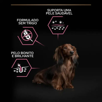 Pro Plan Sensitive Skin Small & Mini Adult - Ração seca para cão adulto de porte pequeno - Sabor a Salmão
