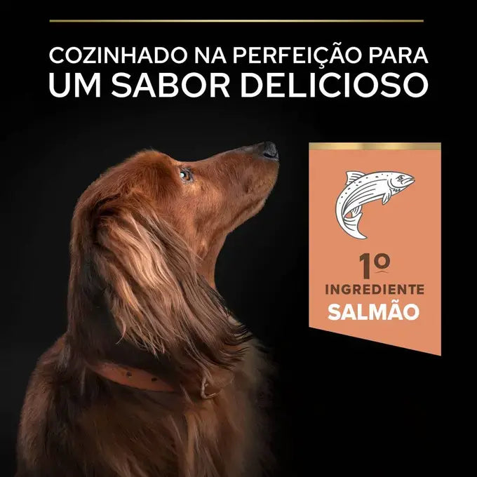 Pro Plan Sensitive Skin Small & Mini Adult - Ração seca para cão adulto de porte pequeno - Sabor a Salmão