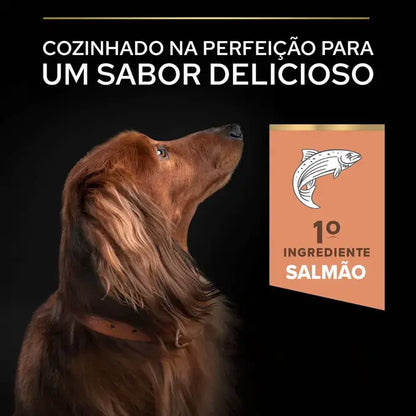 Pro Plan Sensitive Skin Small & Mini Adult - Ração seca para cão adulto de porte pequeno - Sabor a Salmão
