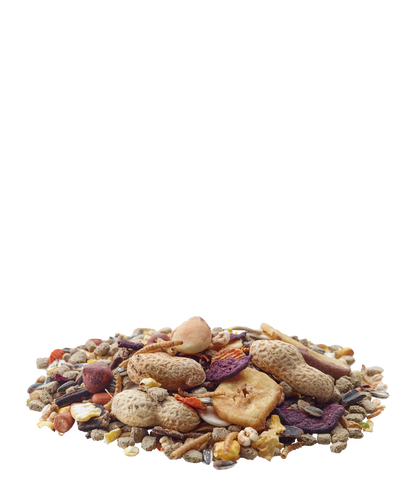 Versele Laga Nature Chip - Mistura variada para esquilos