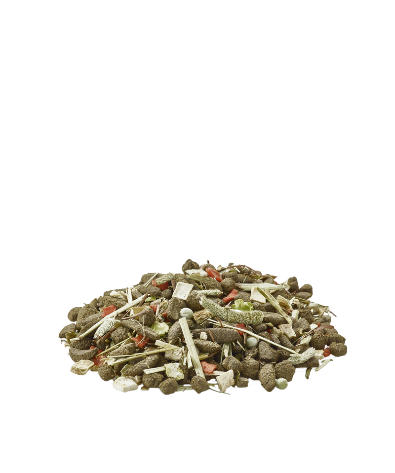 Versele Laga Nature Degu - Mistura para degus