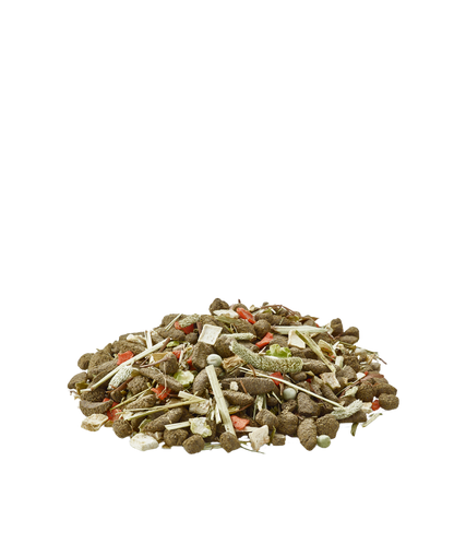 Versele Laga Nature Degu - Mistura para degus