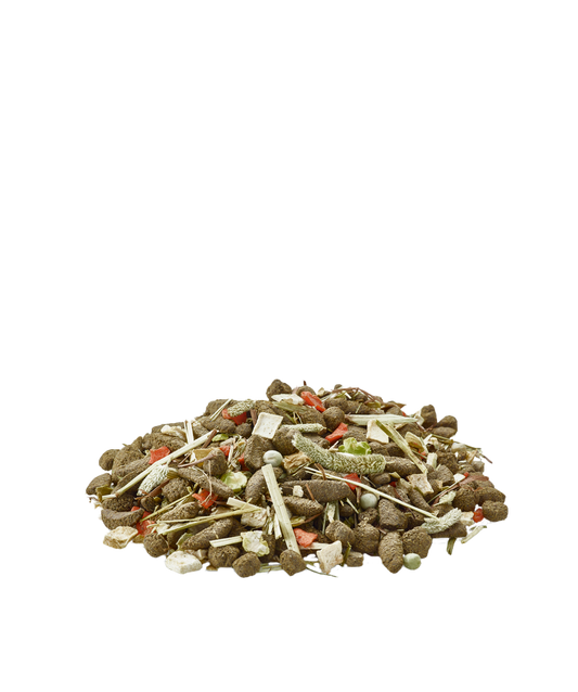 Versele Laga Nature Degu - Mistura para degus