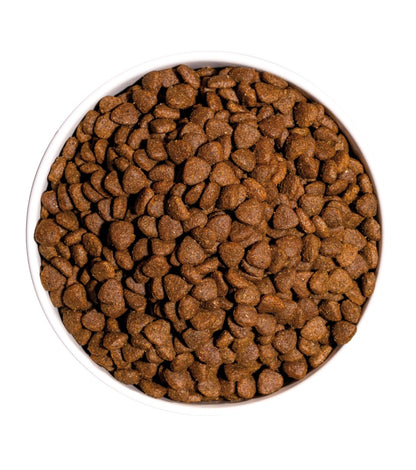 OWNAT Classic Kitten - Ração seca para gatinhos