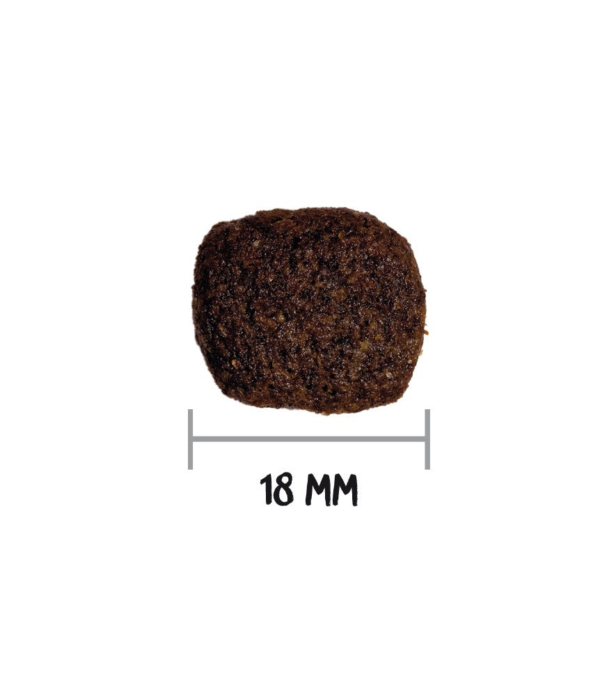 Ownat Grain Free Hypoallergenic Lamb - Ração seca sem cereais para cães adultos com alergias