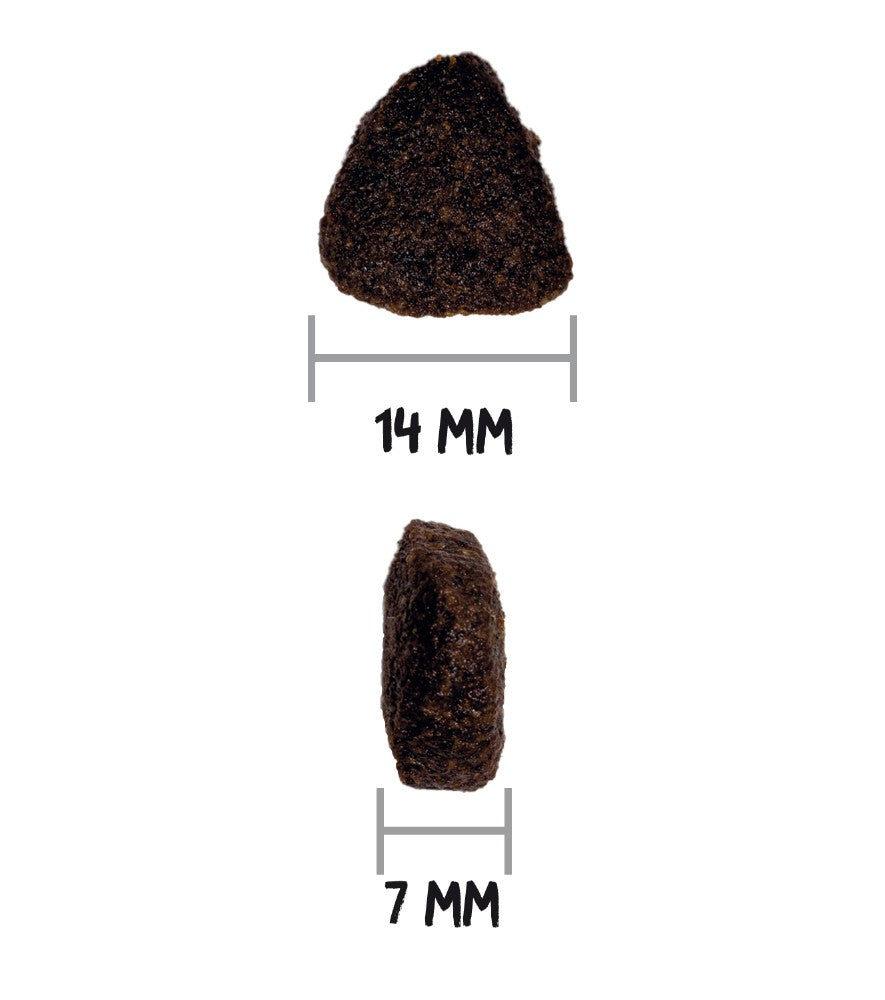Ownat Just Grain Free Cão Adulto - Ração seca para cão adulto - Salmão e Marisco sem cereais