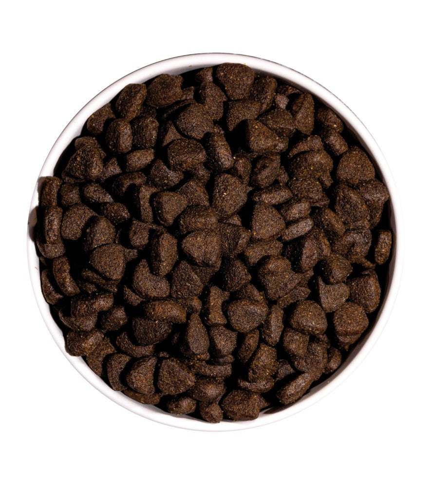 Ownat Just Grain Free Cão Adulto - Ração seca para cão adulto - Salmão e Marisco sem cereais