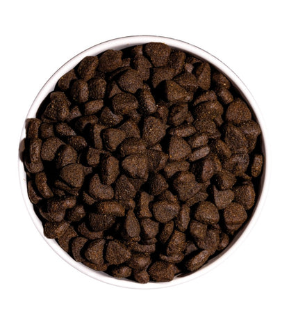 Ownat Just Grain Free Cão Adulto - Ração seca para cão adulto - Salmão e Marisco sem cereais