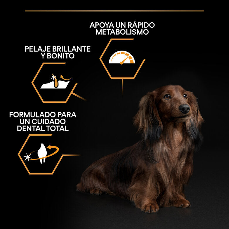 Pro Plan Everyday Nutrition Small & Mini Adult - Ração seca para cão adulto pequeno - Frango