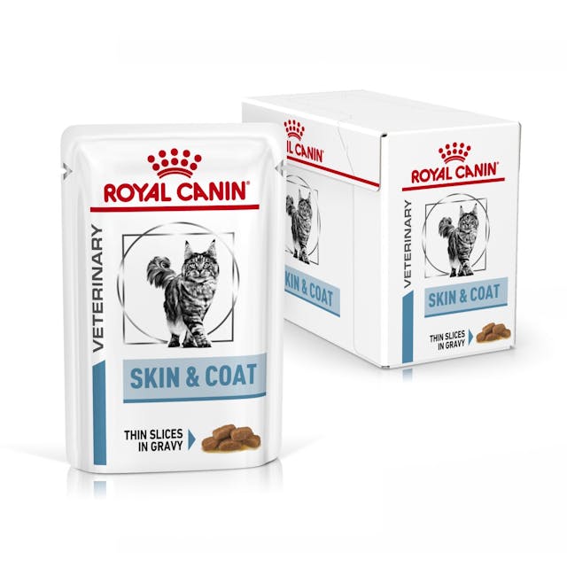Royal Canin VET Skin & Coat - Alimento húmido para gatos com dermatite e queda de pelo