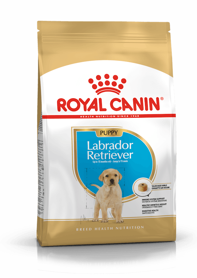 Royal Canin Labrador Retriever Puppy - Ração seca para cachorro de raça