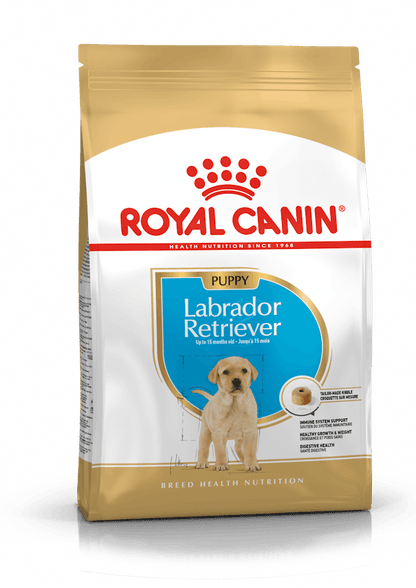 Royal Canin Labrador Retriever Puppy - Ração seca para cachorro de raça