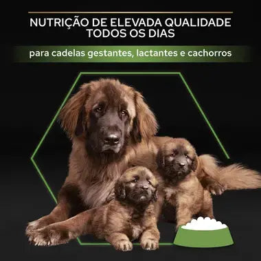 Pro Plan Starter Large Mother & Puppies - Ração seca para cachorros de porte grande e cadelas gestantes/lactantes