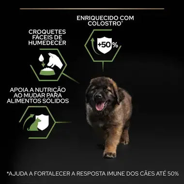 Pro Plan Starter Large Mother & Puppies - Ração seca para cachorros de porte grande e cadelas gestantes/lactantes