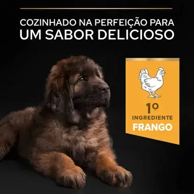 Pro Plan Starter Large Mother & Puppies - Ração seca para cachorros de porte grande e cadelas gestantes/lactantes