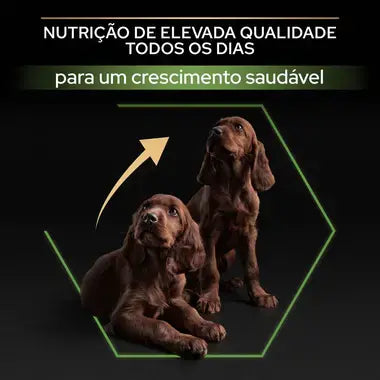 Pro Plan Healthy Start Large Athletic Puppy - Ração seca para cachorro de porte grande - Sabor a Frango