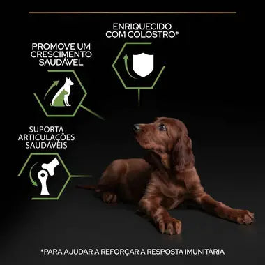 Pro Plan Healthy Start Large Athletic Puppy - Ração seca para cachorro de porte grande - Sabor a Frango