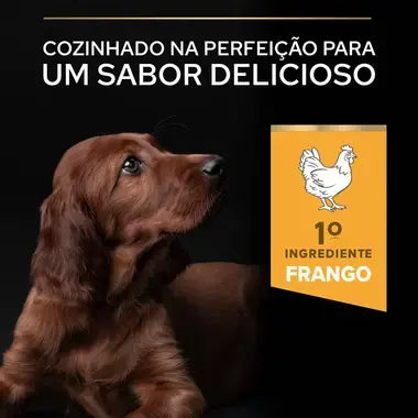 Pro Plan Healthy Start Large Athletic Puppy - Ração seca para cachorro de porte grande - Sabor a Frango