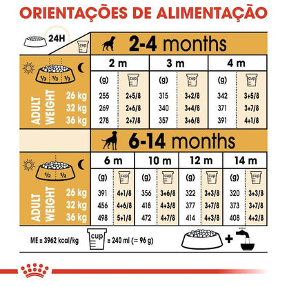 Royal Canin Boxer Puppy - Ração seca para cachorro de raça