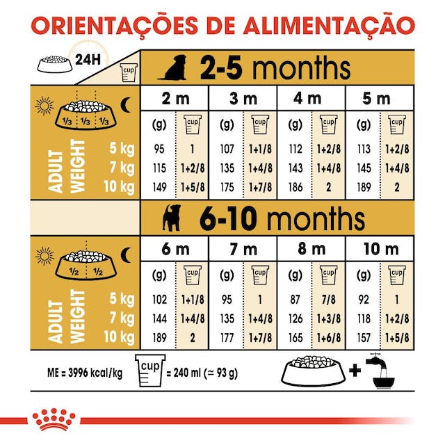 Royal Canin Jack Russell Puppy - Ração seca para cachorro de raça