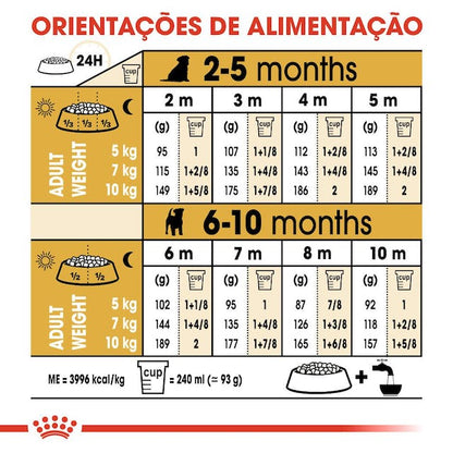 Royal Canin Jack Russell Puppy - Ração seca para cachorro de raça