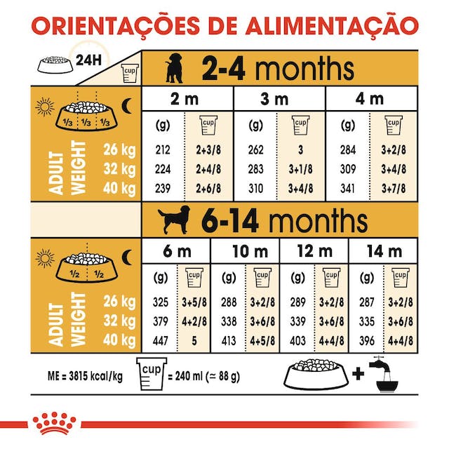 Royal Canin Labrador Retriever Puppy - Ração seca para cachorro de raça