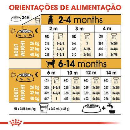 Royal Canin Labrador Retriever Puppy - Ração seca para cachorro de raça