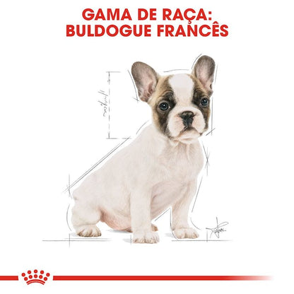 Royal Canin Bulldog Francês Puppy - Ração seca para cachorro de raça