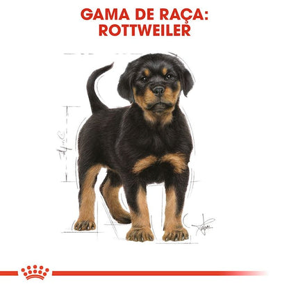 Royal Canin Rottweiler Puppy - Ração seca para cachorro de raça