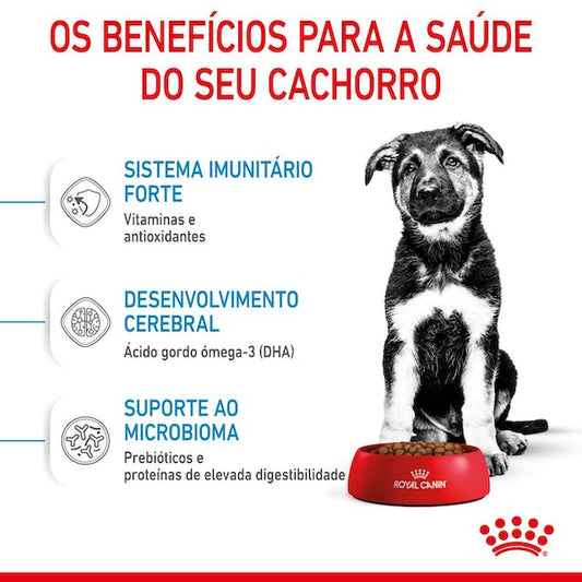 Royal Canin Puppy Maxi - Ração seca para cachorro de porte grande