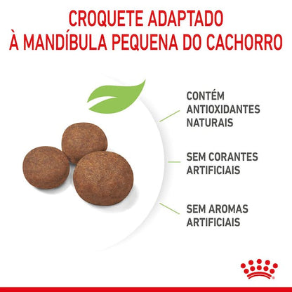 Royal Canin Puppy Medium - Ração seca para cachorro de porte médio