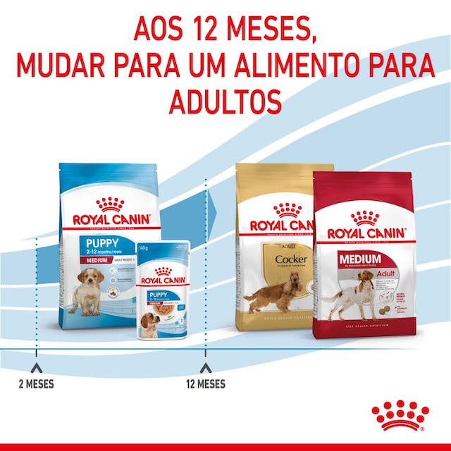Royal Canin Puppy Medium - Ração seca para cachorro de porte médio