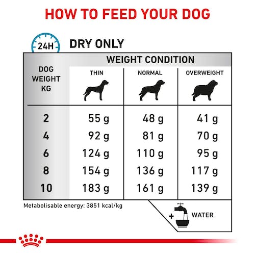 Royal Canin VET Anallergenic Small Dogs - Ração seca para cão de porte pequeno com intolerâncias alimentares