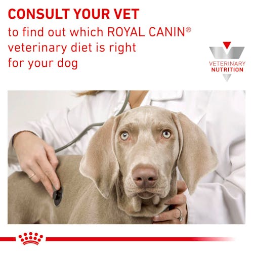 Royal Canin VET Anallergenic Small Dogs - Ração seca para cão de porte pequeno com intolerâncias alimentares