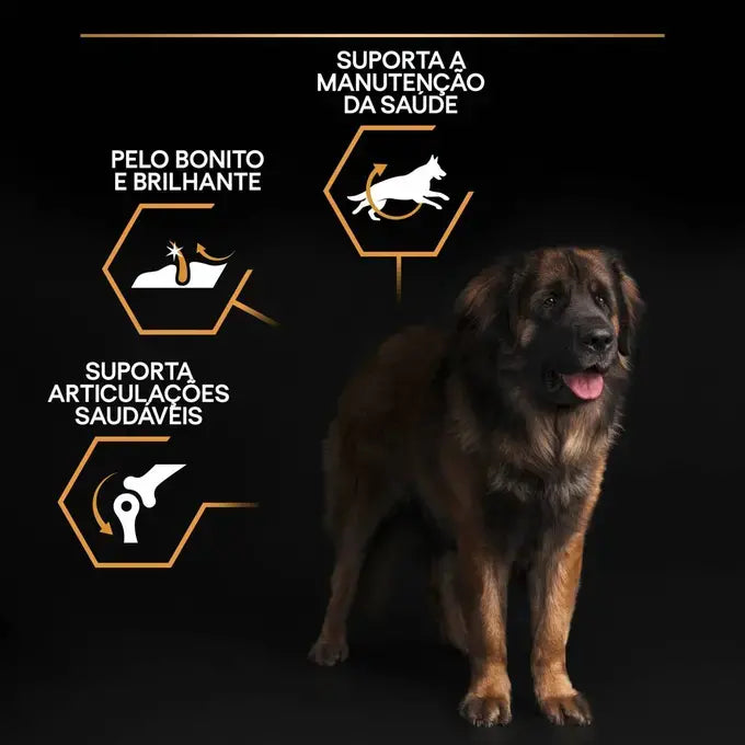 Pro Plan Everyday Nutrition Large Robust Adult - Ração seca para cão adulto de porte grande - Sabor a Frango