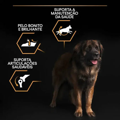Pro Plan Everyday Nutrition Large Robust Adult - Ração seca para cão adulto de porte grande - Sabor a Frango