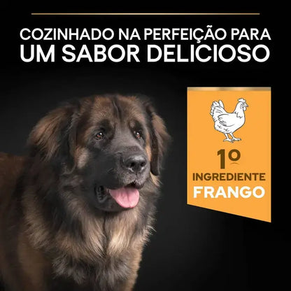 Pro Plan Everyday Nutrition Large Robust Adult - Ração seca para cão adulto de porte grande - Sabor a Frango