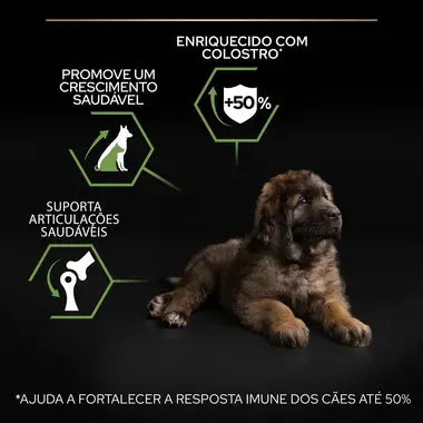 Pro Plan Healthy Start Large Robust Puppy - Ração seca para cachorro de porte grande - Sabor a Frango