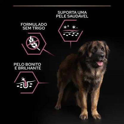 Pro Plan Sensitive Skin Large Robust Adult - Ração seca para cão adulto de porte grande - Sabor a Salmão
