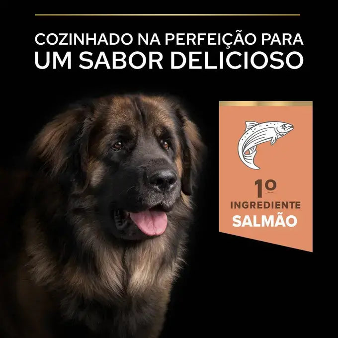 Pro Plan Sensitive Skin Large Robust Adult - Ração seca para cão adulto de porte grande - Sabor a Salmão