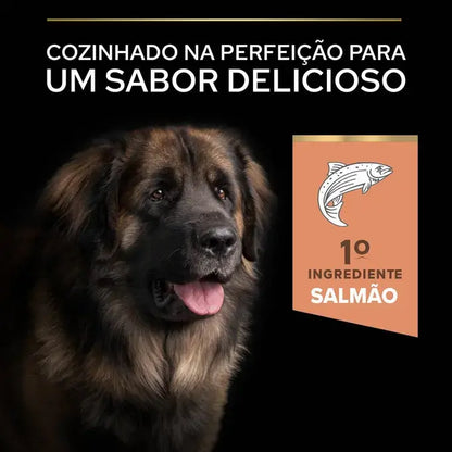 Pro Plan Sensitive Skin Large Robust Adult - Ração seca para cão adulto de porte grande - Sabor a Salmão