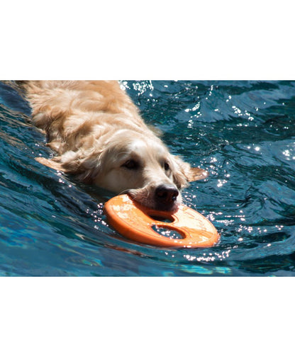 ROGZ DOG BRINQUEDO FETCH RFO