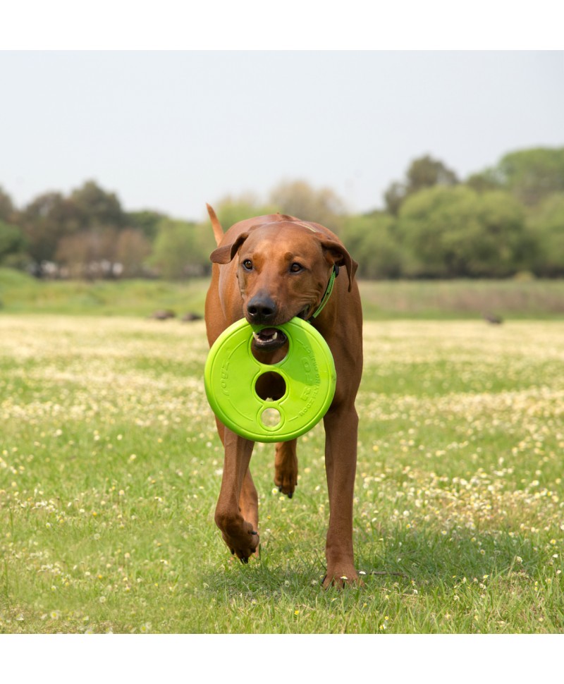 ROGZ DOG BRINQUEDO FETCH RFO