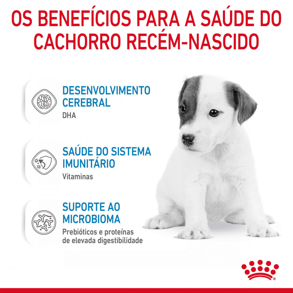 Royal Canin Babydog Milk - Leite para cachorro