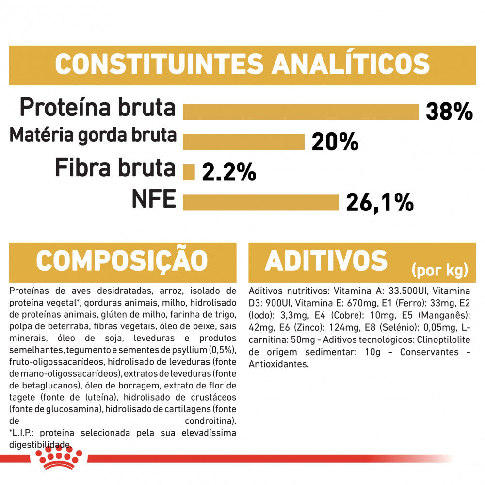 Royal Canin British Shorthair Kitten - Ração seca para gatinhos de raça