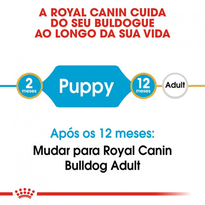 Royal Canin Bulldog Puppy - Ração seca para cachorro de raça