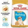Load image into Gallery viewer, Royal Canin Bulldog Puppy - Ração seca para cachorro de raça