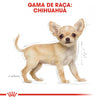 Load image into Gallery viewer, Royal Canin Chihuahua Puppy - Ração seca para cachorro de raça