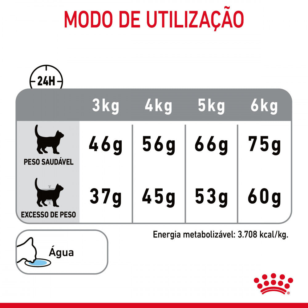 Royal Canin Dental - Ração seca para gatos adultos para ajudar a apoiar a saúde dentária